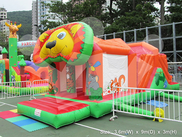IMAGE_DESC_TAG